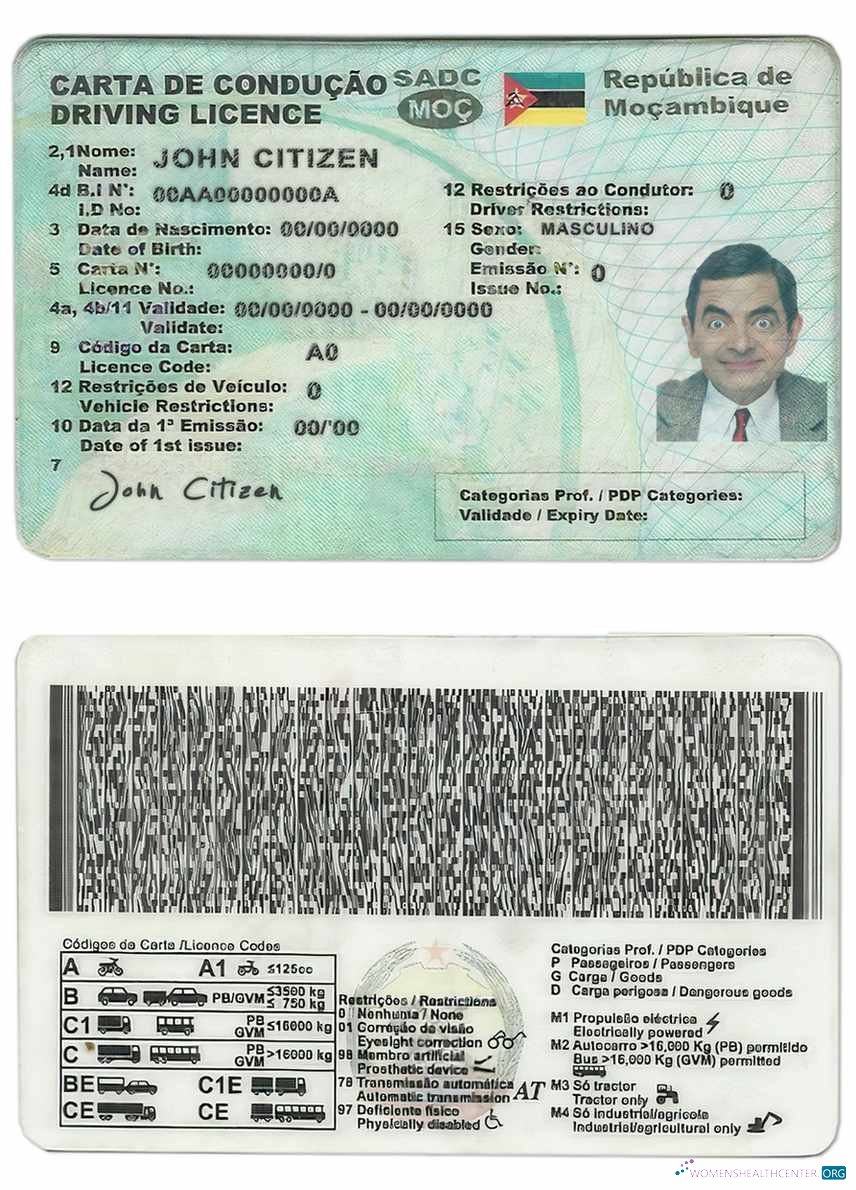 download Mozambique driving license